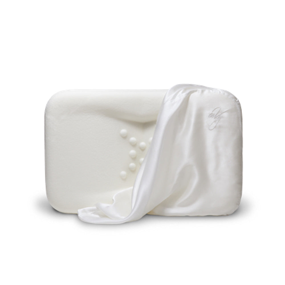 Highly Comfortable Envy Silk Pillow Case Shop Now